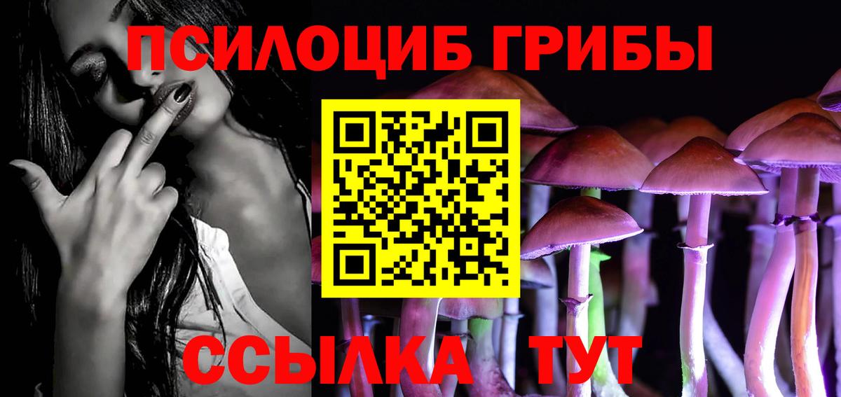 Галлюциногенные грибы Psilocybine cubensis Воткинск